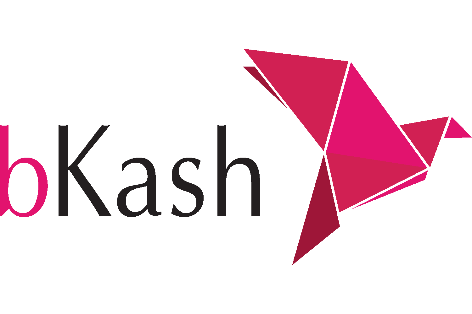 633432fed1074494e21c7409_Bkash-logo